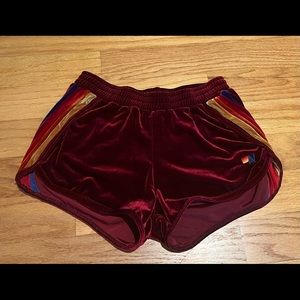 Aviator Nation Velvet Shorts / red
